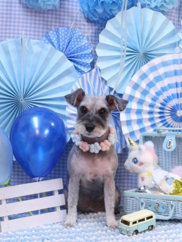 20231115ぽんずちゃん